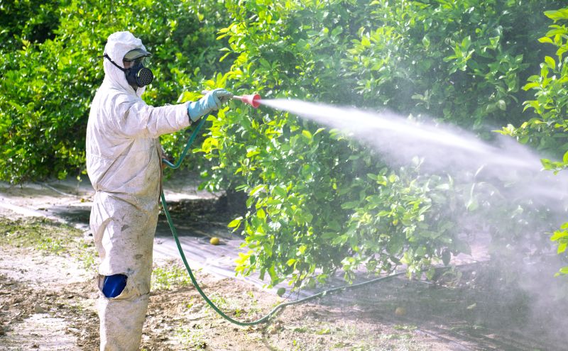 Fumigation Service in Wilmington, DE