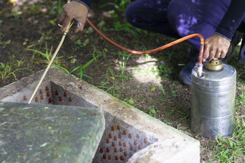 Pest Fumigation Service in Tampa, FL