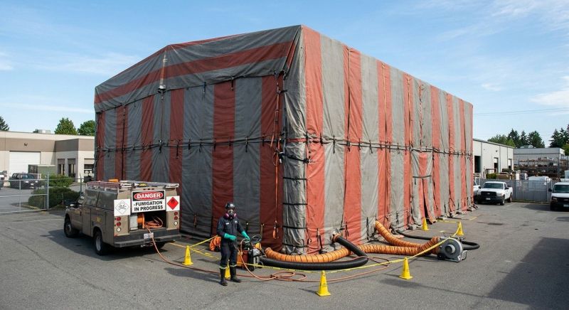 Commercial Fumigation in Fort Myers, FL