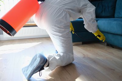 Fumigation Service in Phoenix, AZ