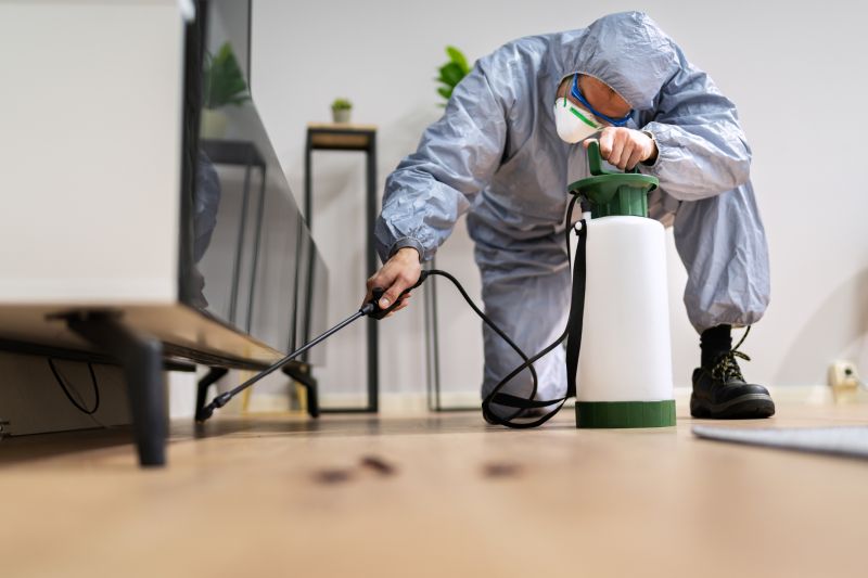 Fumigation Service in Cumming, GA