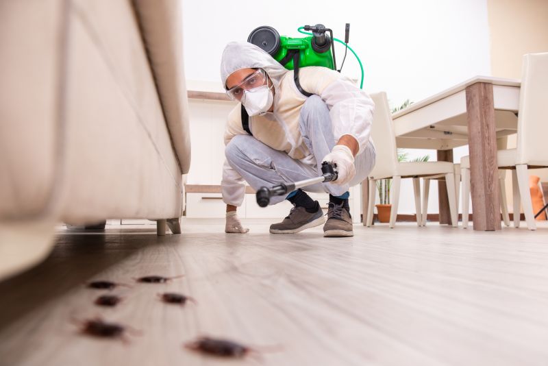 Outdoor Pest Control Service in Frisco, TX