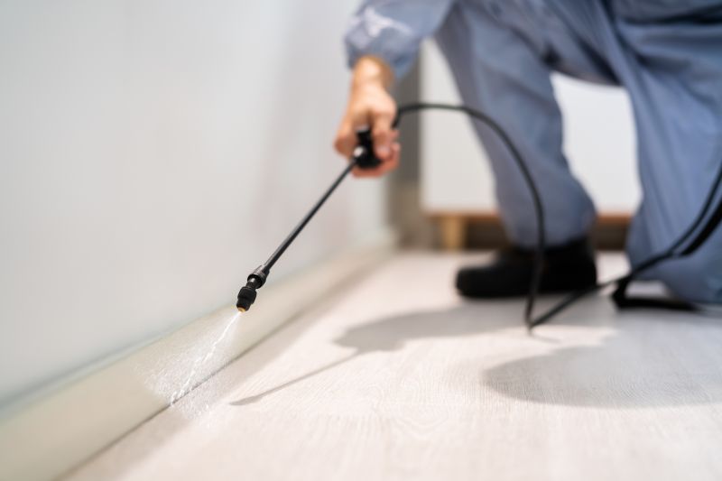 Pest Extermination Service in Frisco, TX