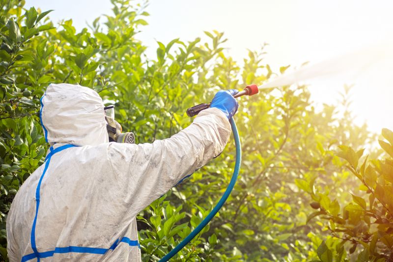 Pest Fumigation Service in West Palm Beach, FL
