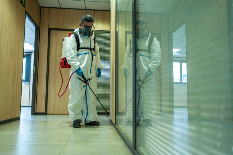 Pest Fumigation Service in Katy, TX