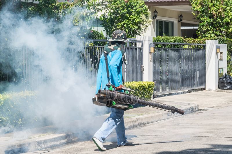 Roach Fumigation in Wilmington, DE