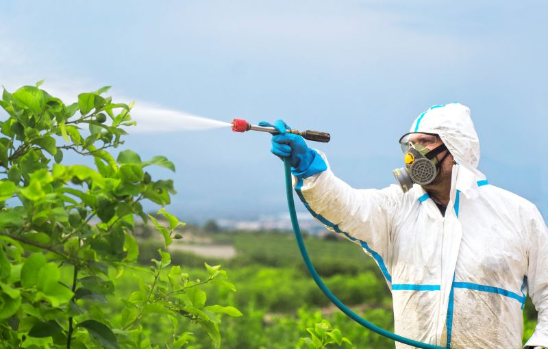 Roach Fumigation in Phoenix, AZ
