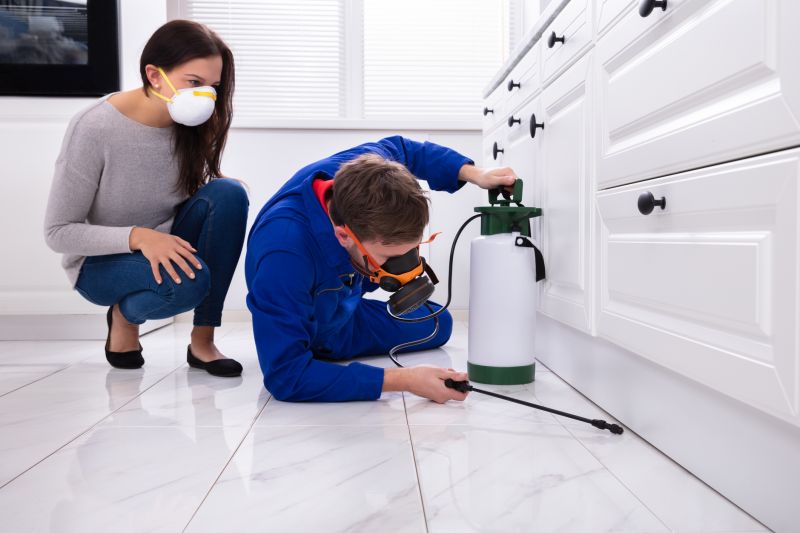 Silverfish Extermination in Frisco, TX