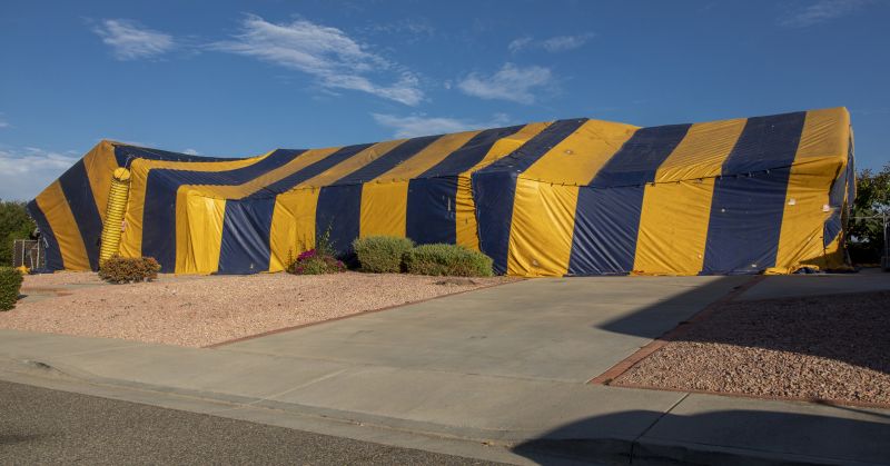 Tent Fumigation in Ann Arbor, MI