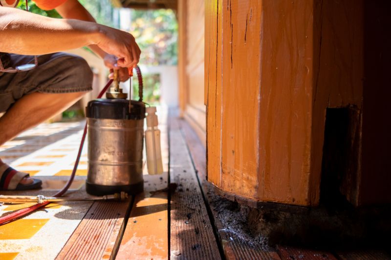 Termite Service in Frisco, TX