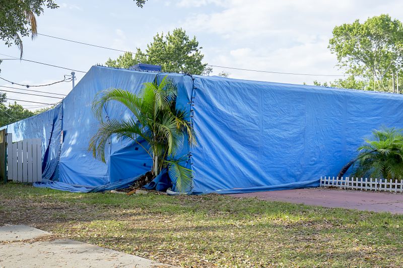 Termite Tenting in Ann Arbor, MI